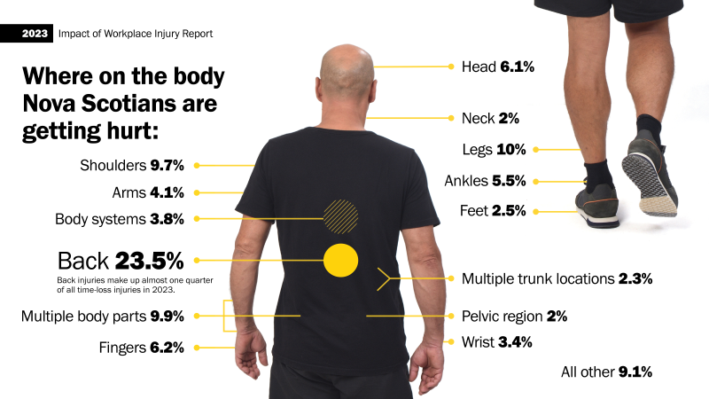 Illustration of a person’s back with various body areas labeled with different injury percentage values.