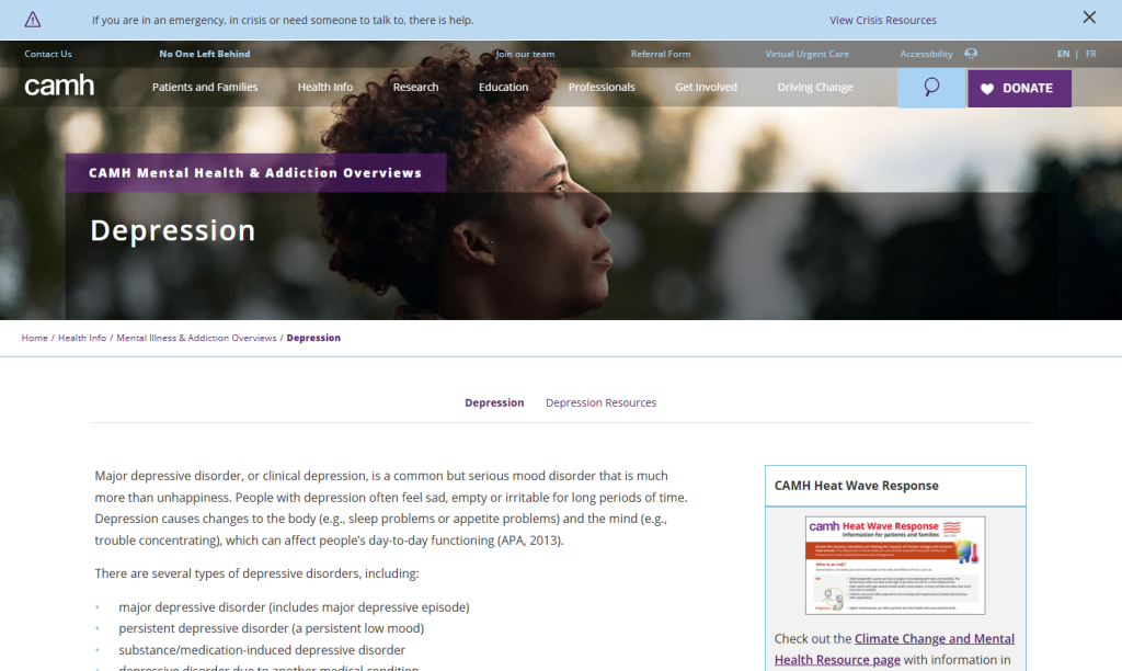 Screenshot of the resource for depression.