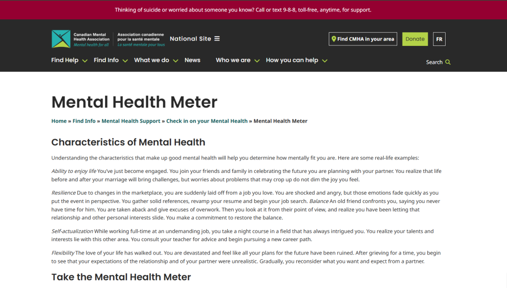 Screenshot of the mental health meter website