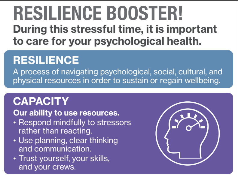 screenshot of the resource page for resilience booster.
