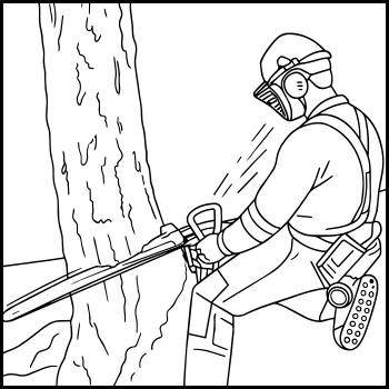 A worker wearing safety gear, including a helmet, ear protection, and harness, using a chainsaw to cut a large tree trunk.