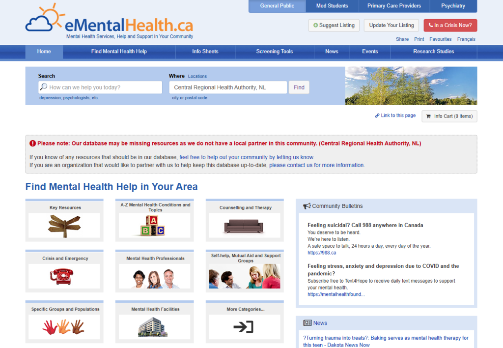 Screenshot of E Mental Health Website
