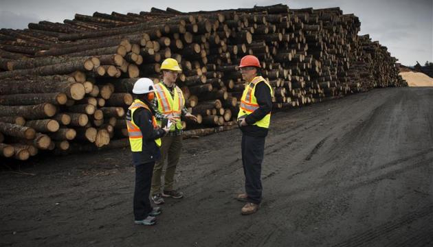An image representing forestry industry with 3 people wearing head gear and ear protection around wood logs
