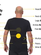 An infographic showcasing different percentage of where on the body Nova Scotians are getting hurt.